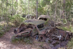 sm25 kopiera