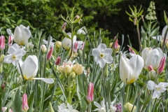 botaniska54-insta