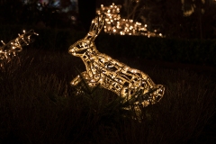 liseberg4-fb