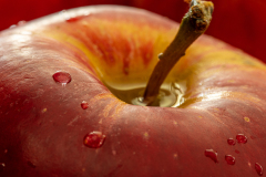 apple-insta