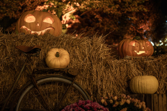 pumpor1-kopiera