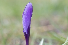 macro3-insta