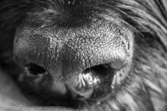 macro8-insta