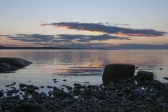 morgon kopiera