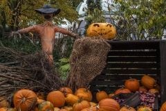halloween-kopiera