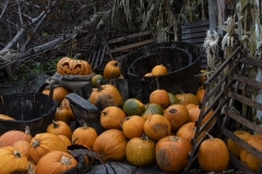 halloween1-kopiera