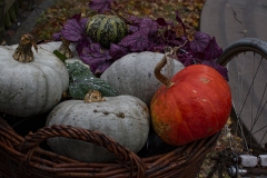 halloween12-insta