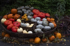 halloween17-kopiera