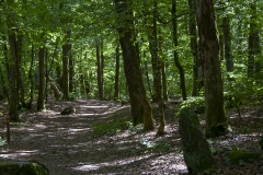 promenad kopiera