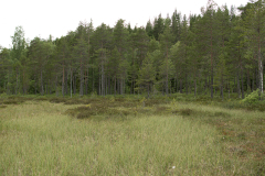 forsbackan10-kopiera