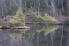 anggardsberg4
