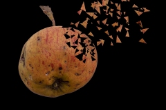 appleskarvor-insta