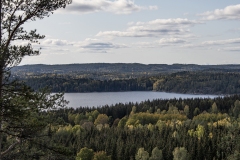 sillerud11-kopiera