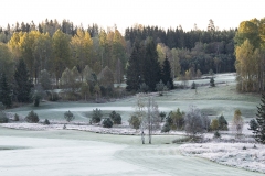 sillerud2-kopiera